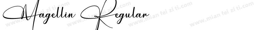 Magellin Regular字体转换